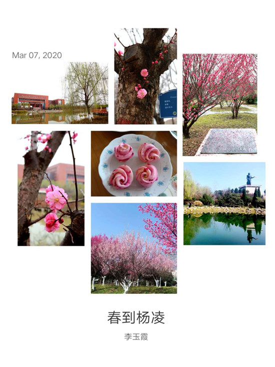 李玉霞作品.jpg