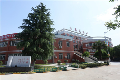 附中校园.jpg